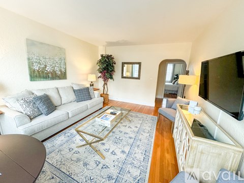 A living room with a white couch and a blue rug.