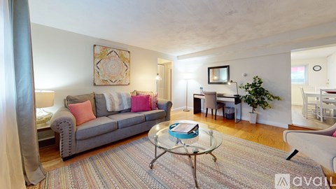 A living room with a grey couch and a multicolored rug.