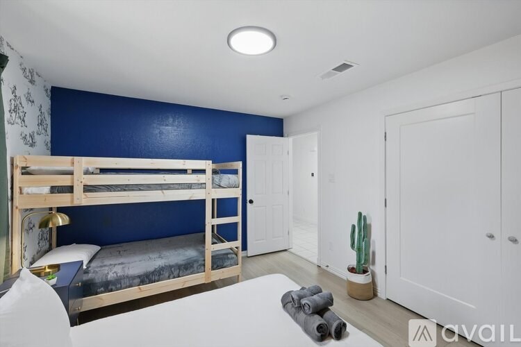 A room with bunk beds and a cactus plant.