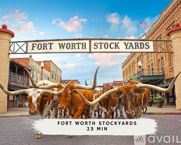 A sign that says Fort Worth Stock Yards in front of some cows.