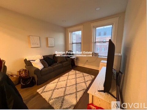 A living room with a couch, a rug, and a television.