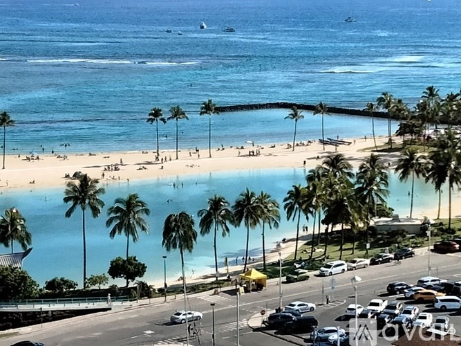 A beach with palm trees and a clear blue sky.