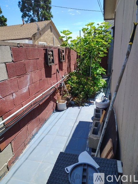 A small tree in a pot sits on a balcony.