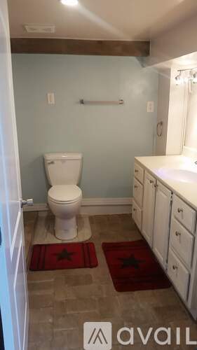 A bathroom with a toilet, sink, and red rugs.