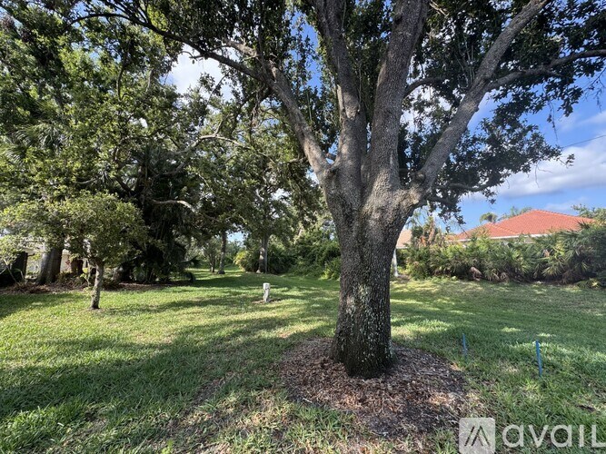 A large tree in the middle of a grassy area with a house in the background.