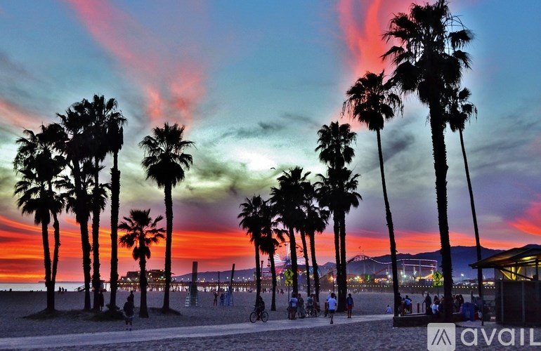 A beautiful beach scene with palm trees silhouetted against a colorful sunset.
