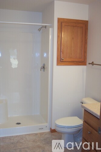 A bathroom with a toilet, a shower, and a cabinet.