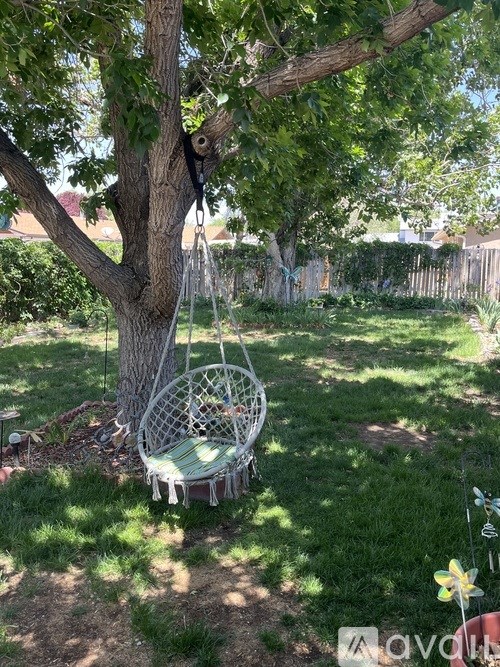 A white hanging chair is suspended from a tree in a backyard.