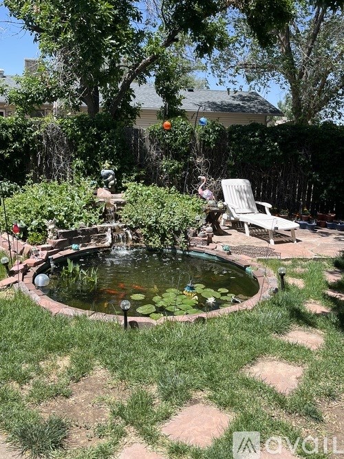 A backyard with a pond and a chair.