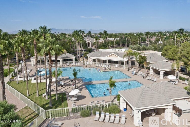 A large outdoor swimming pool surrounded by palm trees and lounge chairs.