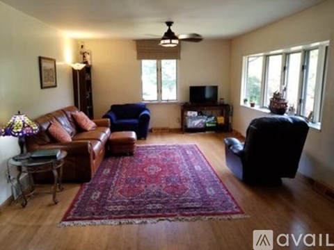A living room with a rug and a television.
