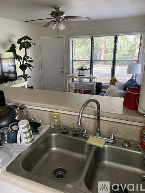 A kitchen sink with a silver faucet and a green plant in the background.