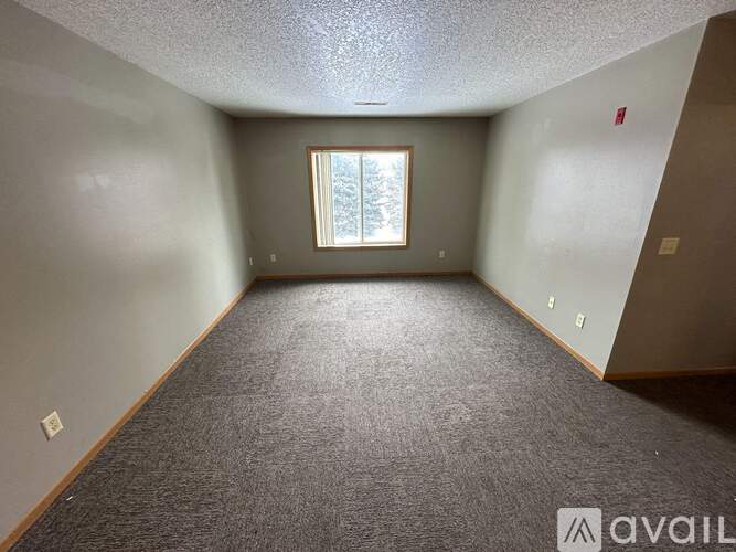 A room with a carpeted floor and a window.
