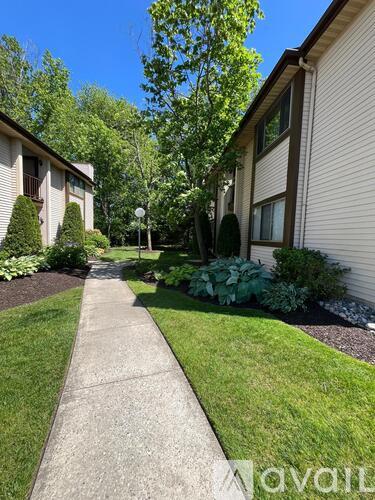A concrete walkway leads between two houses with green shrubbery on the sides.