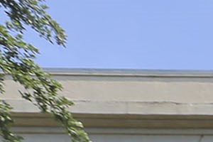 pet friendly apartments for rent in deep ellum dallas tx rentcafé