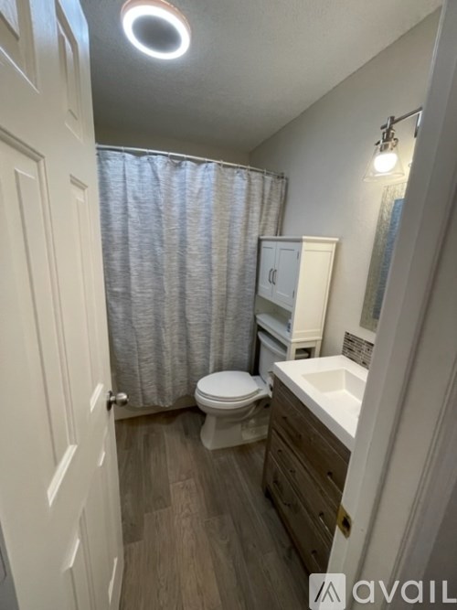 A small bathroom with a toilet, sink, and shower curtain.