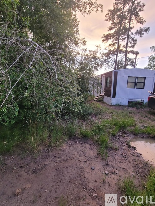 A small white house is surrounded by trees and bushes.