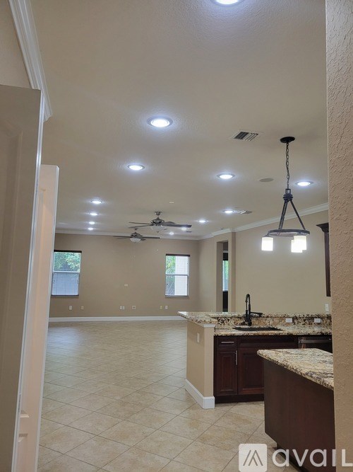 A Lorex security camera monitor displays "No Signal" on its screen.