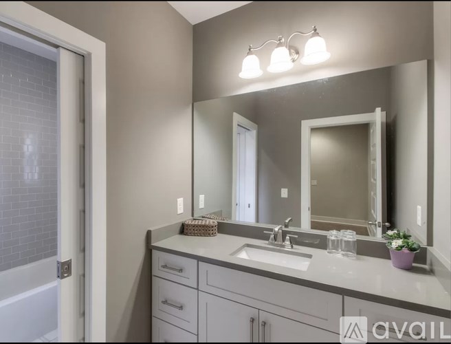 A bathroom with a sink, mirror, and a plant.