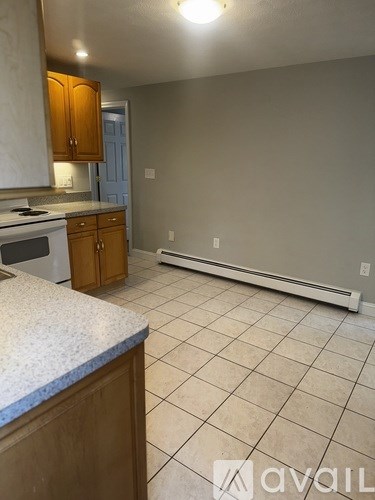 A kitchen with a counter top and cabinets.