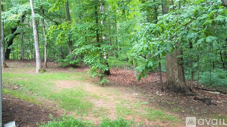 A forest with a path and trees.