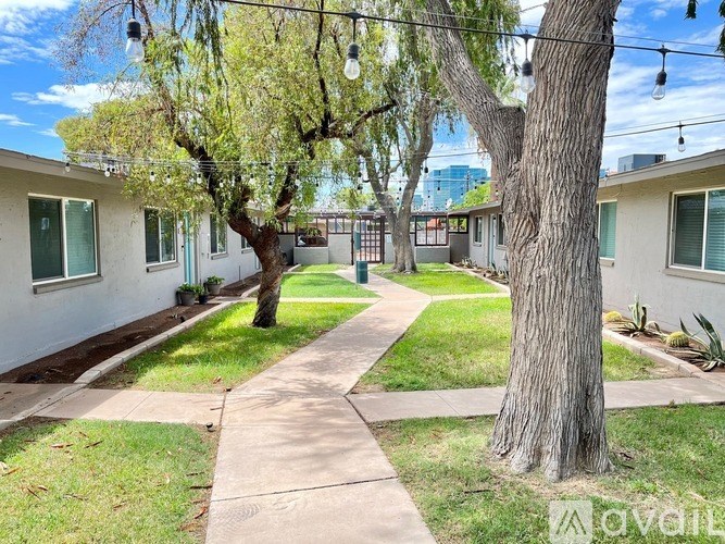 A tree in a yard with a sidewalk and a house in the background.
