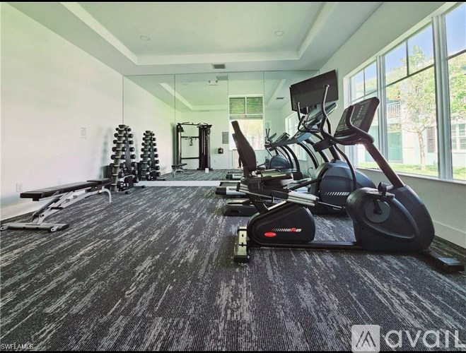 A gym with treadmills and elliptical machines.