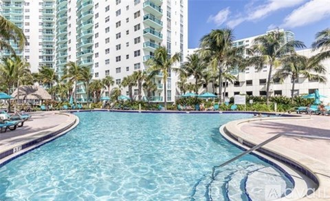 A large swimming pool surrounded by palm trees and a high-rise building in the background.