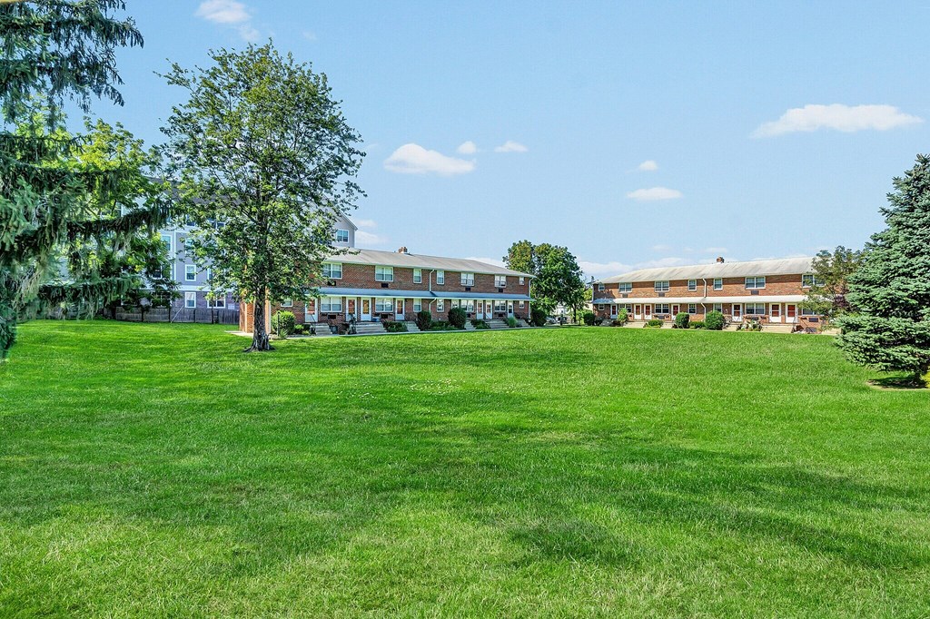 A large grassy field with trees and buildings in the background.