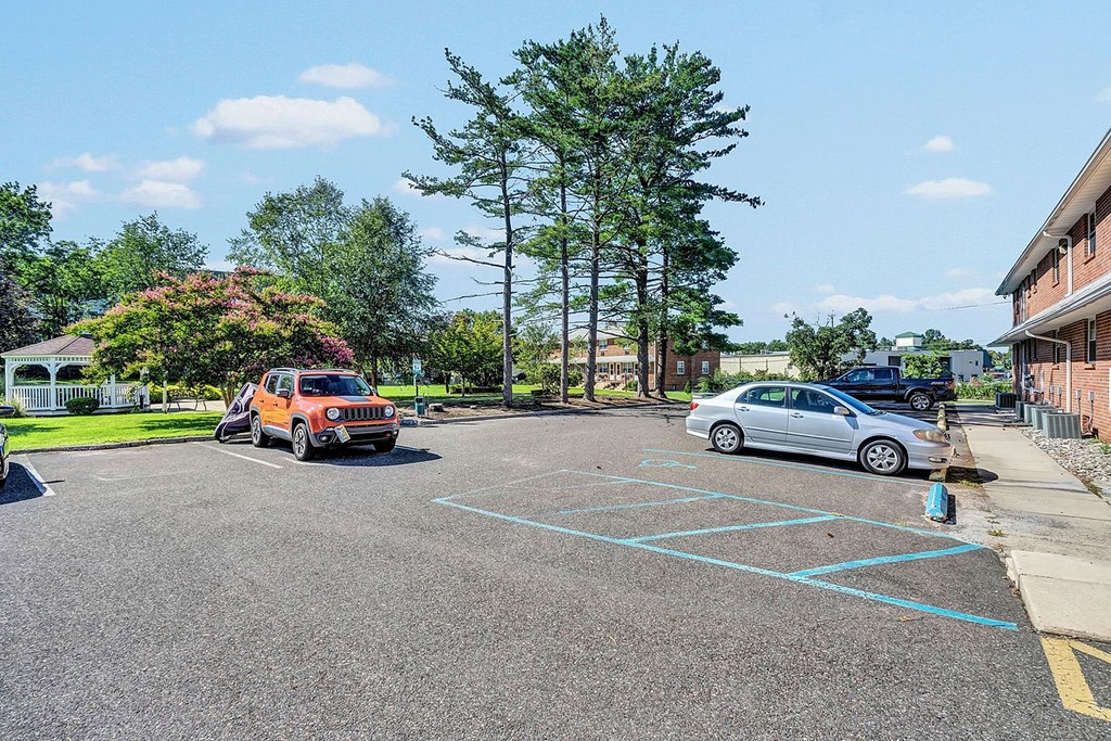 A parking lot with cars and trees in the background.