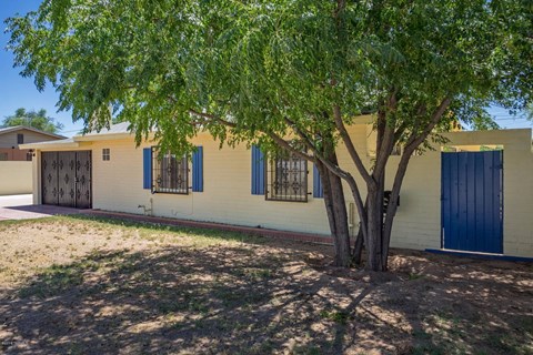 A tree in front of a yellow building with blue doors.