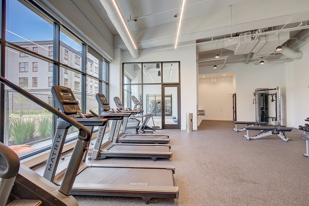A gym with treadmills and a weight room.