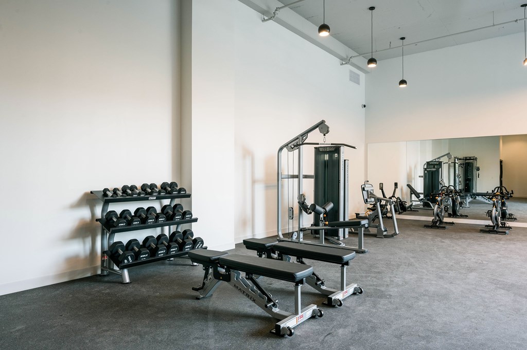 A gym with a variety of equipment including weights, a leg press machine, and a treadmill.