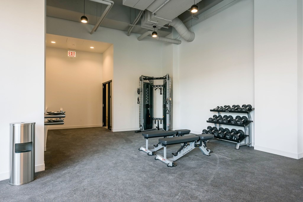 A gym with a weight bench, dumbbells and a barbell.