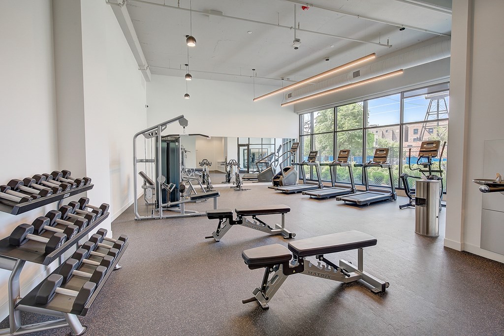 A gym with a variety of equipment including treadmills, weights, and benches.