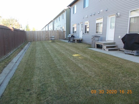 A backyard with a wooden fence and a lawn.