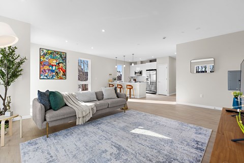 A living room with a grey couch and a blue rug.