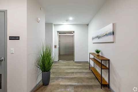 A hallway with a plant in a pot and a painting on the wall.