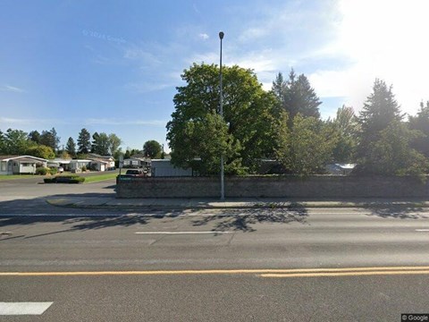 A street view with a tree in the middle of the road.