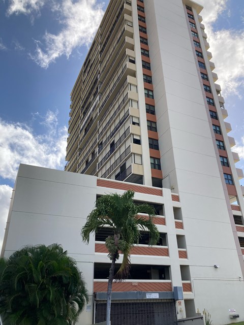 A tall white building with a palm tree in front of it.