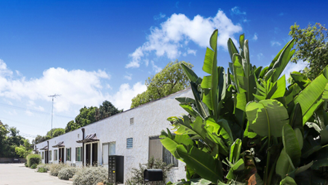 A white building with a green plant in front.