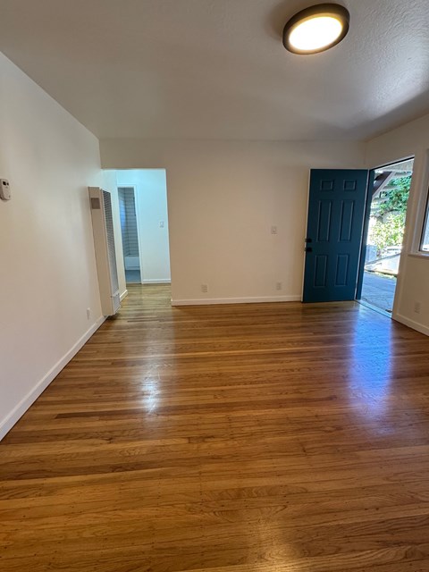A room with wooden flooring and a blue door.