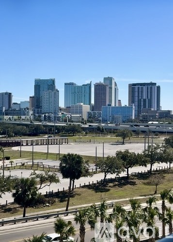 A cityscape with tall buildings and palm trees in the foreground.
