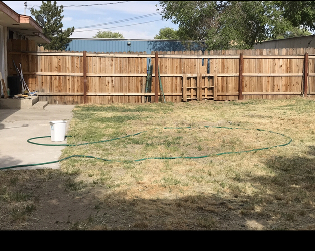 A green hose is coiled on the grass in front of a wooden fence.