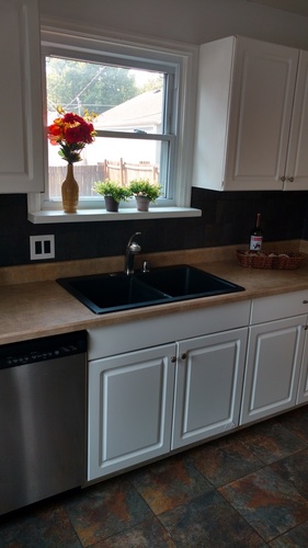 A kitchen with a dishwasher and a sink.