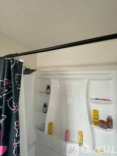 519 W Douglas Ave 3 Beds Apartment, Single Family Home for Rent - Photo Gallery 1