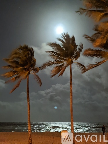 Two palm trees swaying in the wind on a beach.