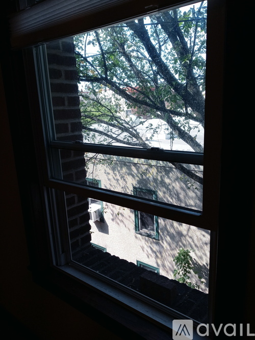 A window with a view of a tree and a building.