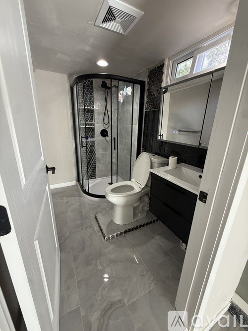 A bathroom with a walk-in shower and a toilet.
