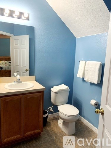A bathroom with blue walls and a white toilet.